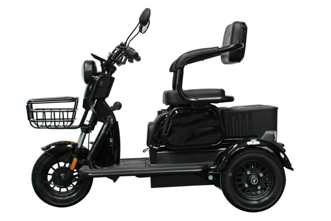 New Arrival Scooter Adult Leisure 3 Wheel Electric City Tricycle Cargo Fat Tire Aluminium Alloy Adult Electric Trike with Front and Rear Basket