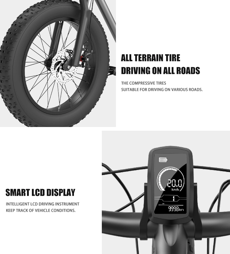 Fast Fat Tire off Road Electric Dirt Bike Mountain City Ebike