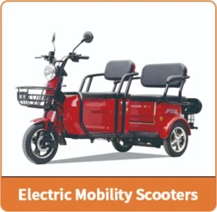 EEC Electric Tricycle for Passengers Manufactured by Jinpeng Group