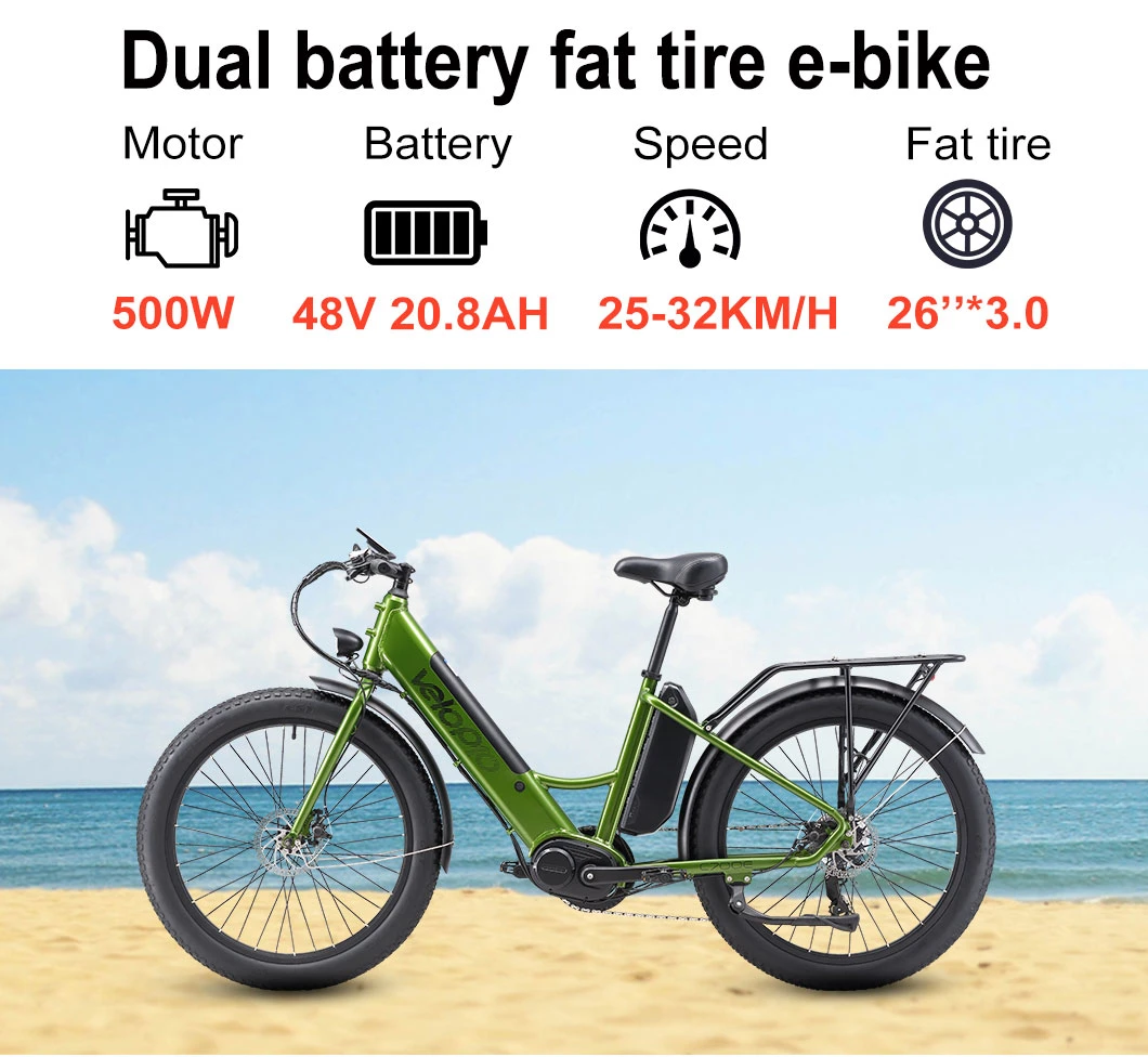 48V 500W Electric City Bike MID Drive Motor Cycling Electric Bicycle Powerful Ebike Fat Tire Electric Mountain Bike