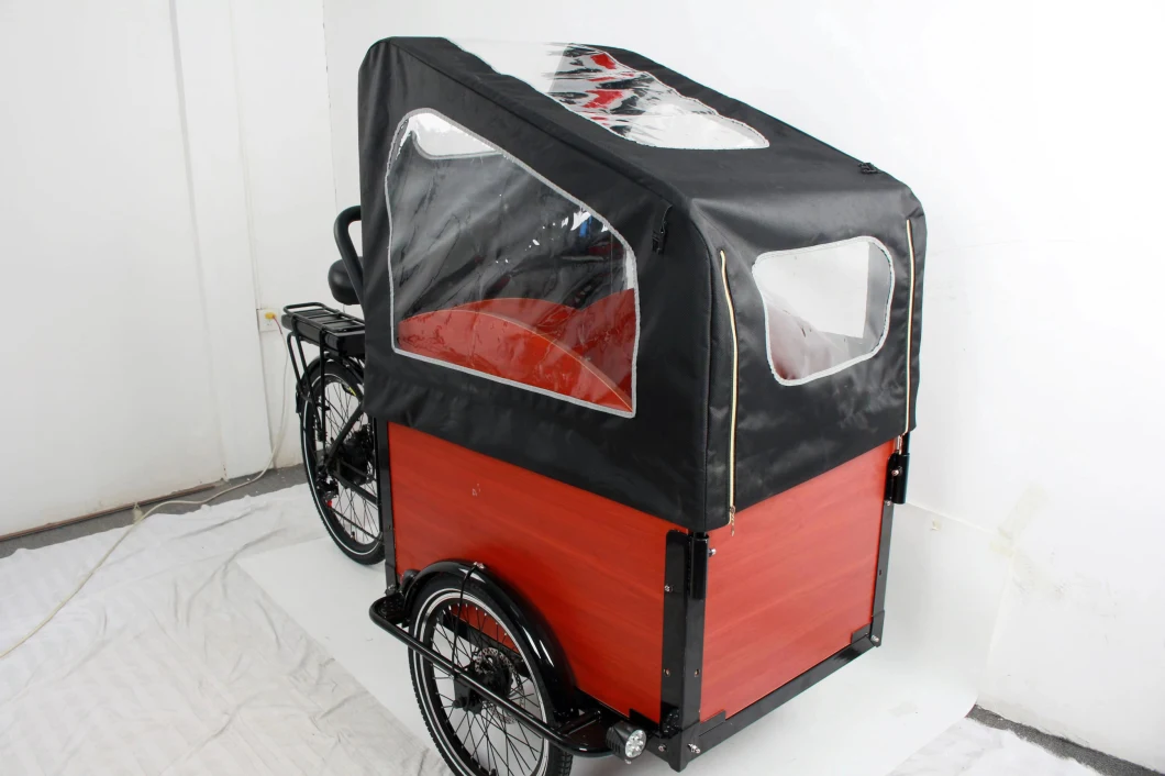 Best 500W Bafang Brushless Motor Etrike with Rainproof Shed 2 Seats Family Use City Bike Electric Trike