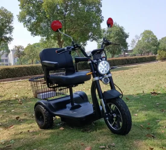 Nouvelle arrivée 500W-750W City Coco Trike trois roues scooter de tricycles électriques