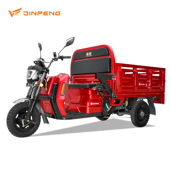 Dls150 PRO Chine Fourniture de tricycle électrique 2023 Approbation Nouvelles ressources énergétiques Chargeur électrique de haute qualité pour la personnalisation de base du fret