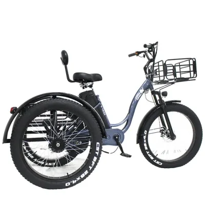 Pratique City Drive multicolore trajet offre spéciale 48V 800W Bafang moyeu arrière moteur arrière avant paniers tricycle électrique