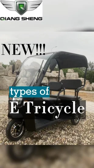 Tricycle électrique récréatif Hot-Sale mode E Trike en ville trois roues de haute qualité pour passager