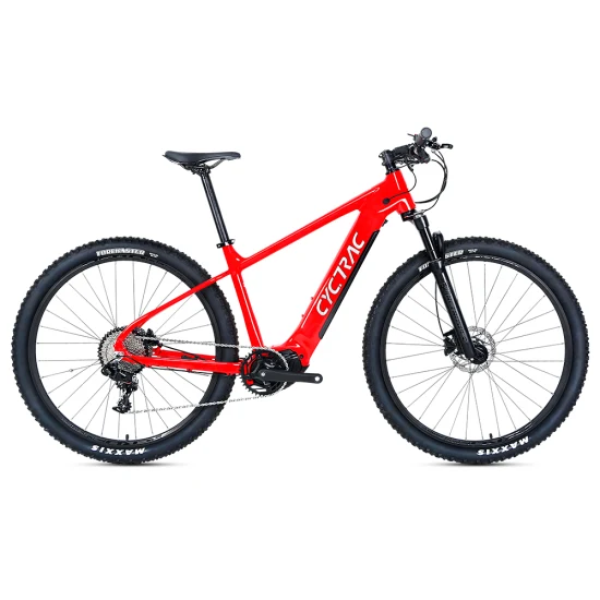 Bafang MID Drive Motor 16ah Batterie au lithium Mountain E Bike Vélo électrique Dropship