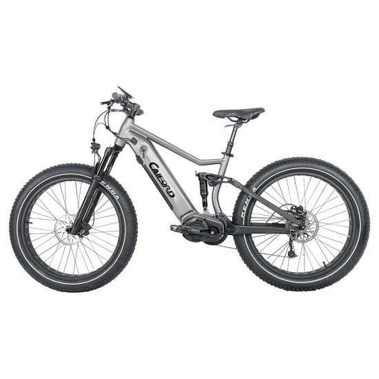 Batterie Li-ion 26*4.0 MID-Drive 48V12.8ah, vélo de ville électrique sans balais Bafang 750W/1000W