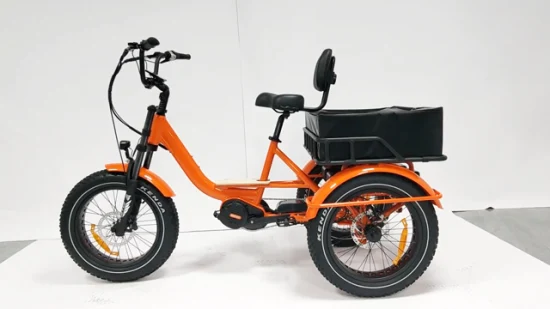 Tricycle électrique adulte adapté aux besoins du client par roue du tricycle 3 de la puissance élevée E de moteur de cargaison MID