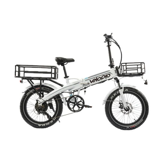 2023 Lectric Ebike Vélo Électrique Pliant 20 Pouces 48V 500W Haute Gamme Électrique Cargo Cycle Suspension Pliable Électrique Fat Bike avec Panier Cargo