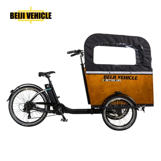 Vente chaude vélo électrique 250W moteur 3 roues vélo cargo électrique avec boîte en bois tricycle pour transporter les enfants et les animaux domestiques