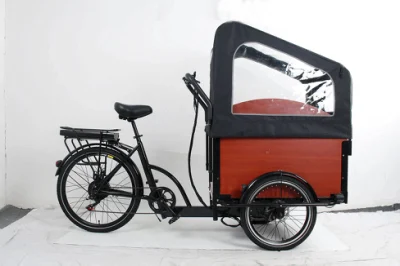 Meilleur Etrike de moteur sans balais 500W Bafang avec hangar anti-pluie 2 sièges tricycle électrique de vélo de ville à usage familial