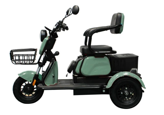 Nouvelle Arrivée Scooter Adulte Loisirs 3 Roues Électrique Ville Tricycle Cargo Gros Pneu En Alliage D'aluminium Adulte Tricycle Électrique avec Panier Avant et Arrière