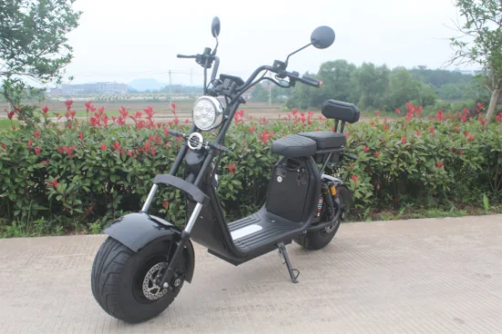 Fat Boy High Speed ​​Widewheel Front Bag Moto 1500W 2000W 3000W Electrica Electrica Moto Scooter Citycoco