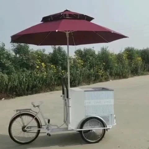 Vélo cargo à 3 roues approuvé CE OEM avec chariots de vente de nourriture de congélateur à vendre tricycle électrique de crème glacée